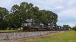 NS 8181